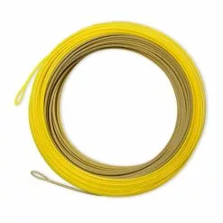 Shirts & T-Shirts Shop -Shirts & T-Shirts Shop 20a01221.1