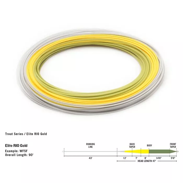RIO Gold Elite Floating Fly Line 2 RIO Gold Elite Floating Fly Line - Image 2