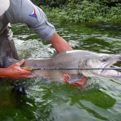 Fly Rod Hanak Competition Alpen Nymph 4 In 1 -Shirts & T-Shirts Shop fly rod hanak competition alpen nymph 4 in 1.2