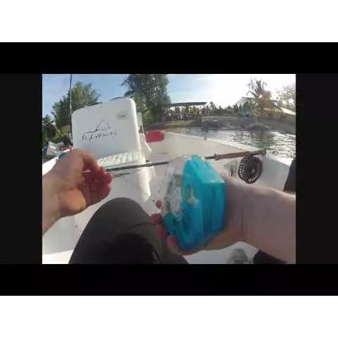 Omnispool Switch Box 2 Omnispool Switch Box - Image 2